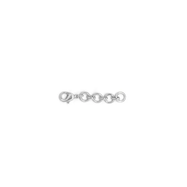 1" Chain Extender in Silver