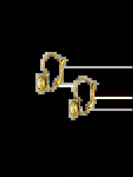 Am x ss drew earrings