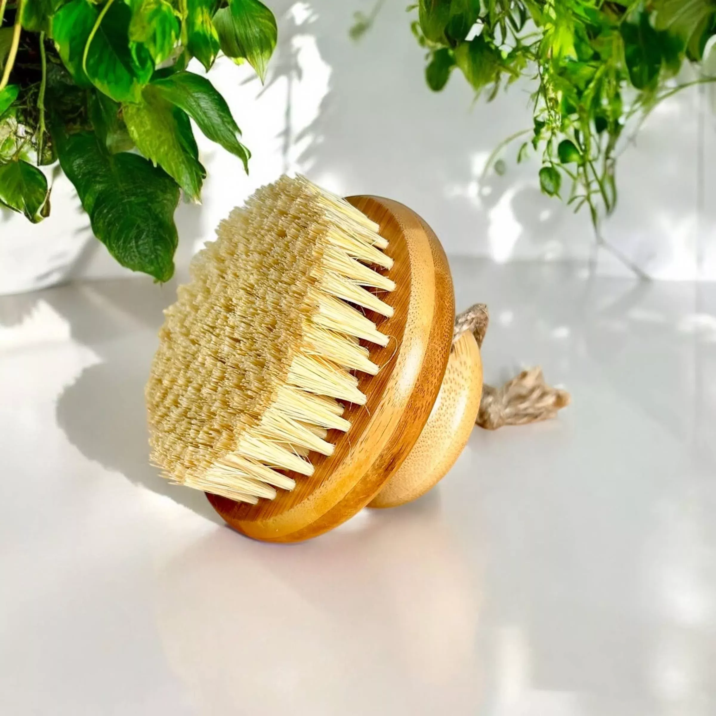 bamboo body dry brush
