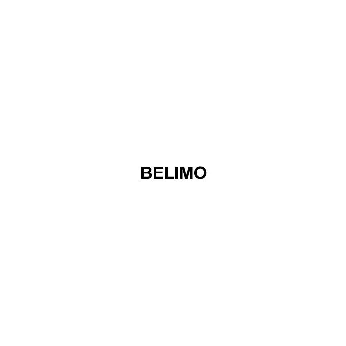 Belimo B248+ARB24-3 Characterized Control Valve 24V 2 inch