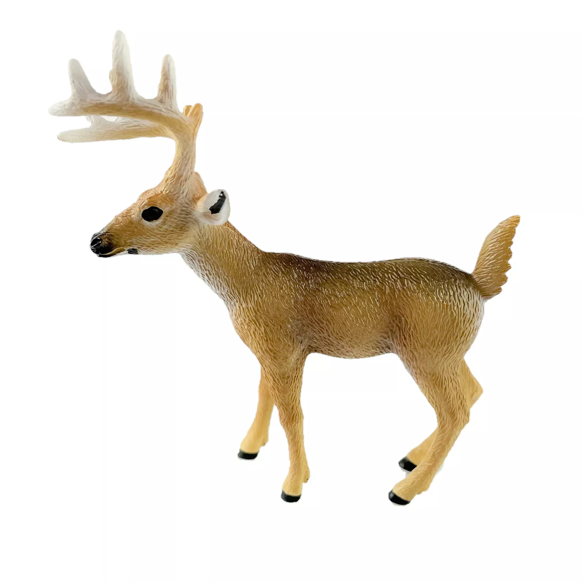 Big Country White-tailed Buck
