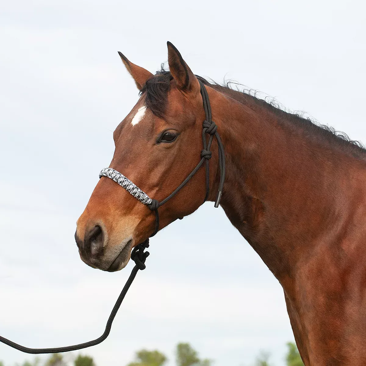 Cashel Braided Rope Halter and 7.5' Leadrope