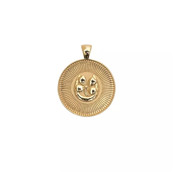 Lucky jw small pendant coin necklace