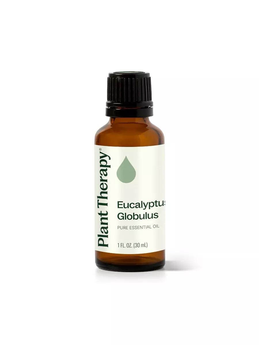 Plant Therapy Eucalyptus Globulus Essential Oil 30 mL