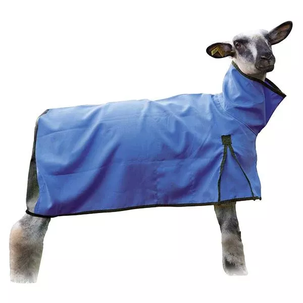 Weaver Nylon Sheep Blanket with Mesh Butt